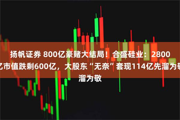 扬帆证券 800亿豪赌大结局！合盛硅业：2800亿市值跌剩600亿，大股东“无奈”套现114亿先溜为敬