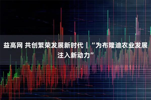 益高网 共创繁荣发展新时代｜“为布隆迪农业发展注入新动力”