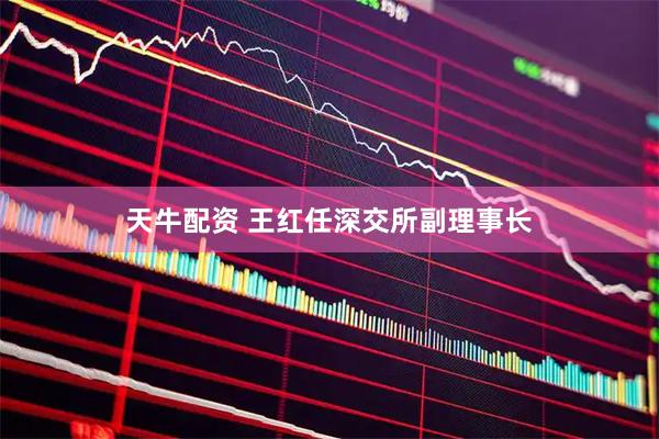 天牛配资 王红任深交所副理事长