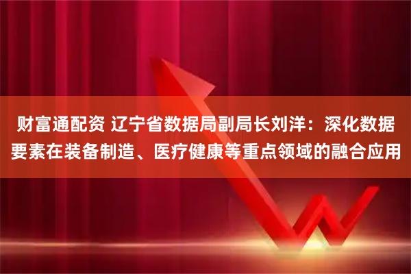 财富通配资 辽宁省数据局副局长刘洋：深化数据要素在装备制造、医疗健康等重点领域的融合应用