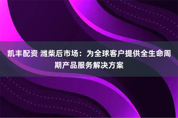 凯丰配资 潍柴后市场：为全球客户提供全生命周期产品服务解决方案